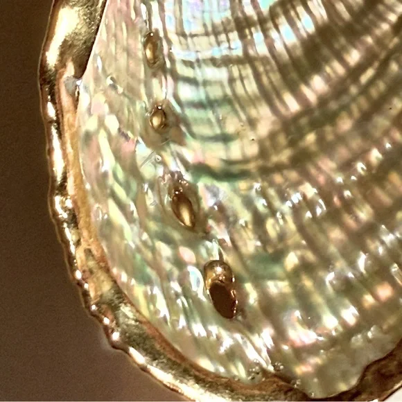 Vintage Abalone Shell Pendant With Gold Overlay EUC - Picture 6 of 8